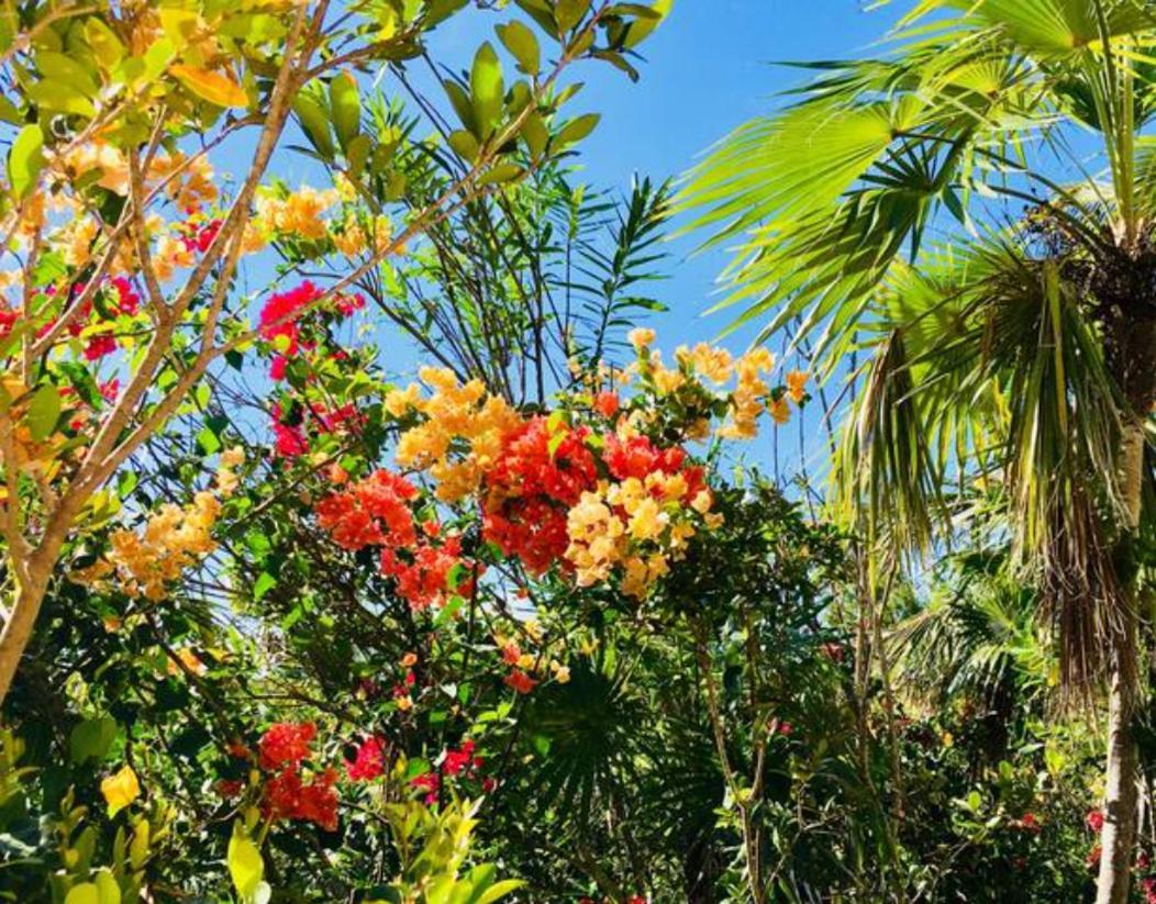 Esencia Cottage Long Bay Bagian luar foto